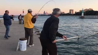 Salmon Fishing Chicago