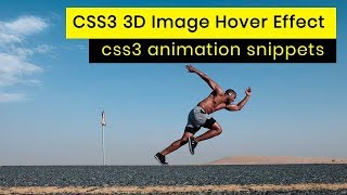 CSS3 3D Image Hover Effect | CSS3 Animation Snippets