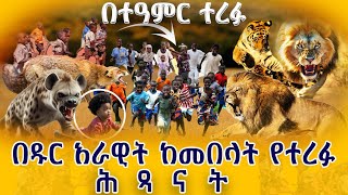 በዱር አራዊት ከመበላት የተረፉ ህፃናት ጅማ በጎ አድራጎት ውስጥ