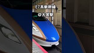 221104 北陸新幹線E7系かW7系かそれが問題だ。＠大宮駅 #Shorts