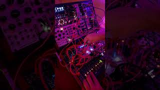 Make Noise DPO - в стерео и Tapographic дилей от 4ms эксперимент с фидбэком#eurorack #jamuary2025s