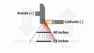 Anode Heel Effect ☢️