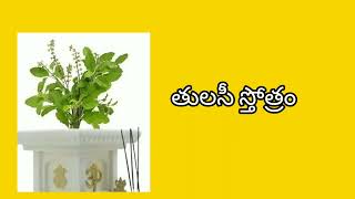 Tulasi stotram with telugu lyrics|తులసీ స్తోత్రం