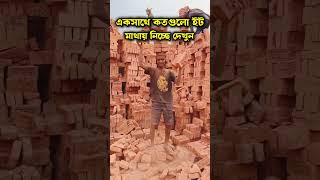 আপনি কতগুলো ইট মাথায় নিতে পারবেন #foryou #shortvideo #funny #doglover #amazing #love #crazyxyz