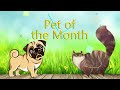 meet randal our december pet of the month