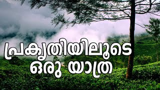 പ്രകൃതിയിലൂടെ ഒരു യാത്ര / nature walk / 14th Oct 2020