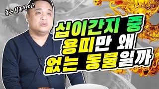 십이간지 중 왜 용띠만 없는 동물일까🐲? 용은 실제로 존재한다?!