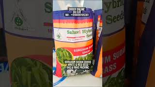 Sorghum Sudan Grass | SSG | Sudan Grass | Sahavi Hybrid Seeds India Private Limited