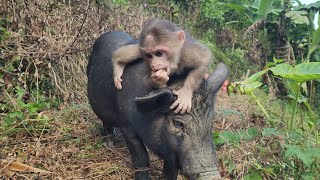 Bubu enjoys playing and being at peace with nature in the forest