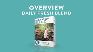 QUICK OVERVIEW | Daily Fresh Blend Photoshop Actions from Bellevue Avenue