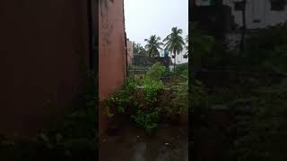 Rain in Chennai | Semma Climate | வடகிழக்கு பருவமழை| GS