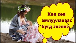 Хөх амлуулах хамгийн эхний чухал алхам, хөхөө хэрхэн зөв амлуулах вэ