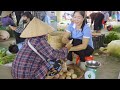 harvesting peach u0026 goes to market sell gardening and cooking lý tiểu vân