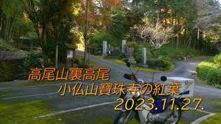 高尾山裏高尾　小佛山寶珠寺の紅葉　　2023.11. 27.　（4K）