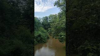 inside #rainforest #digboi #duliajan #road with my #bicycle #northeastindia #shorts #ytshorts