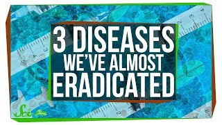 Three Creative Ways to Eradicate Diseases