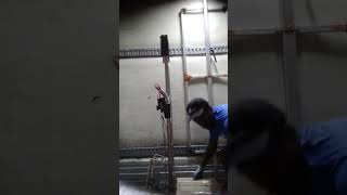 mclane fs driver (once you get familiar with the product the job gets alot easier)