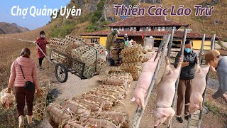 Chợ Quảng Uyên-Hàng trăm Trư Bát Giới khóc lóc vì sắp bị T.hiến