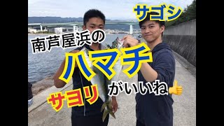 青物・イワシ・サヨリなど魚種多彩！fishingmax芦屋店