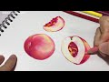 색연필로 복숭아 그림 그리는 방법 🍑 drawing with prisma color pencil