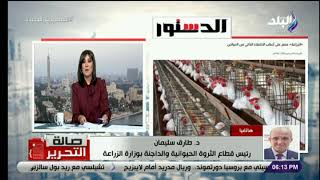 صالة التحرير مع عزة مصطفى || الحلقة الكاملة 14-9-2022