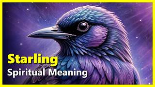 Spiritual Meaning of a Starling