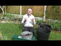 planting liatris corms in pots how to plant liatris spicata bulbs blazing star instructions