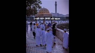 আলেম বা হাফেজ হতে হলে কি ত্যাগ করতে হয়🥀 #viral #ytshorts #islamicstatus #islamicvideo