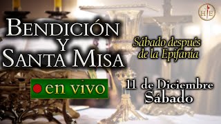 Bendición y Santa Misa 🔴 Sábado 11 de enero 8:00 a.m. ⚜️ Heraldos del Evangelio