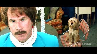 Anchorman 2: The Legend Continues (2013) - Dolphin Show at Sea World