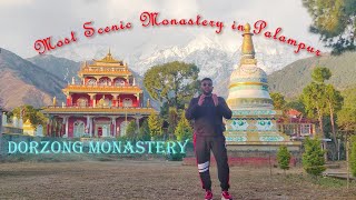 Dorzong Monastery || Most Beautiful Monastery in Palampur || Jia Monastery