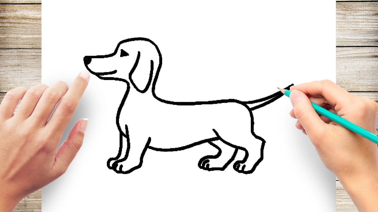 How To Draw A Dachshund Dog Step By Step 45 Off
