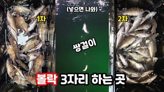 볼락 3자리 잡을 수 있는 곳!! 미끼 없이 느나느나 하고 왔어요!! (초짜낚시TV)