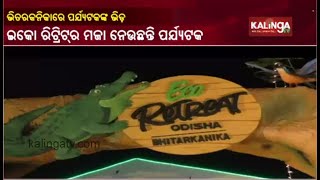 Tourist Flock To Bhitarkanika To Enjoy Natural Beauty And Eco Retreat || Kalinga TV