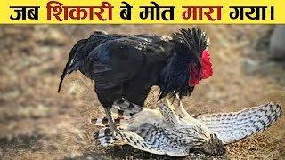 जब शिकारी जानवर खुद शिकार बन गये | Whan animals messed with wrong opponents | predator become prey.