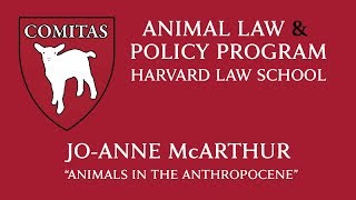 11/1/18 – Jo Anne McArthur "Animals in the Anthropocene"