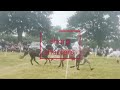 pony club championships 2021 mounted games vlog