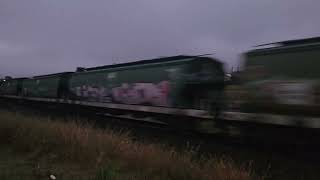 7733V PN empty grain to Murtoa Siding, 1740, 8/7/24, Stawell VIC