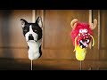 ci investments tv spots 2016 headcovers english