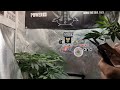 mastering plant magic unleash the power of aeroponic cloning with these genius tips