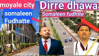 Oduu Ijoo Gama Somalia Irra Nu gahe Dirre dawa Moyale Guutun guututti Somaleen fudhataa Akka jirtu