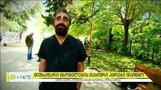 მიუსაფარი ძაღლების მასობრივი ანტირაბიული რევაქცინაცია