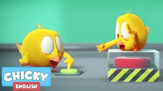 Where's Chicky? Funny Chicky 2020 | IN DANGER | Chicky Cartoon in English for Kids