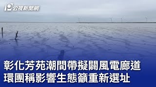 彰化芳苑潮間帶擬闢風電廊道 環團稱影響生態籲重新選址｜20250204 公視晚間新聞