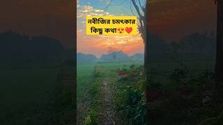 সকালের প্রকৃতি সত্যিই মনোমুগ্ধকর❤️😍 #ইসলামিক #ইসলামিক_ভিডিও #নবীজী #nature #shorts