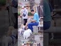 博美弟win² 拉拉接球好厲害⚾️ 跑跑團 萌寵 可愛 狗狗 pets cute dog 日常 doglover 寵物 療癒 puppy funny 好玩 animals