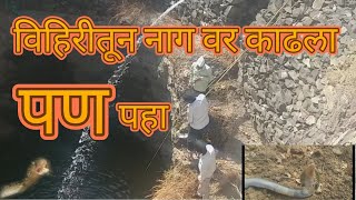 विहिरीतून नाग वर काढला पण शेवटी तुम्हीच पहा झाले काय