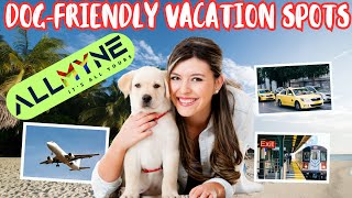 Top Dog-Friendly Vacation Spots in the U.S. | Travel With Your Pup Like a Pro! | Join.ALLMYNE