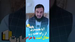 همبستری از راه عقب پارت(1)