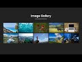 How To Create Image Gallery Using HTML, CSS And JAVASCRIPT | Lightbox Gallery | Rizowan Ahmed Safi